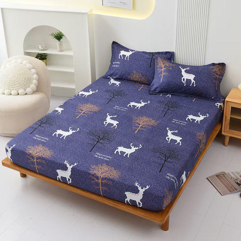 513859818_122097991298929816_8981103863927425479_n